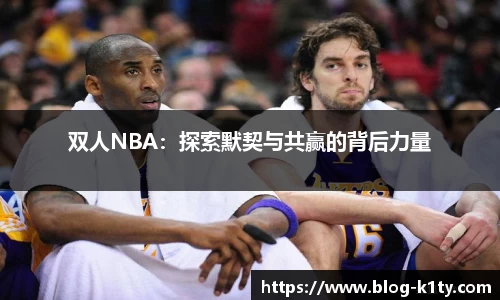 双人NBA：探索默契与共赢的背后力量