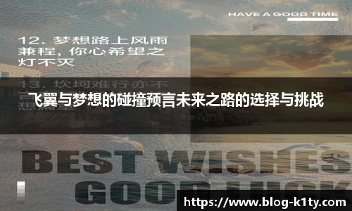 飞翼与梦想的碰撞预言未来之路的选择与挑战